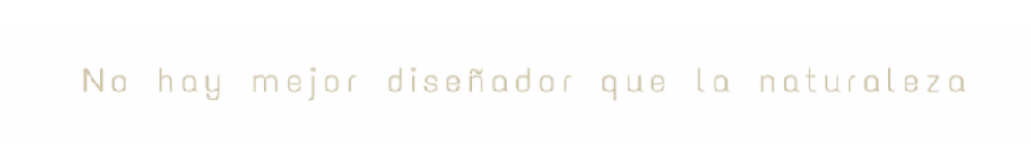 joyas artesanas